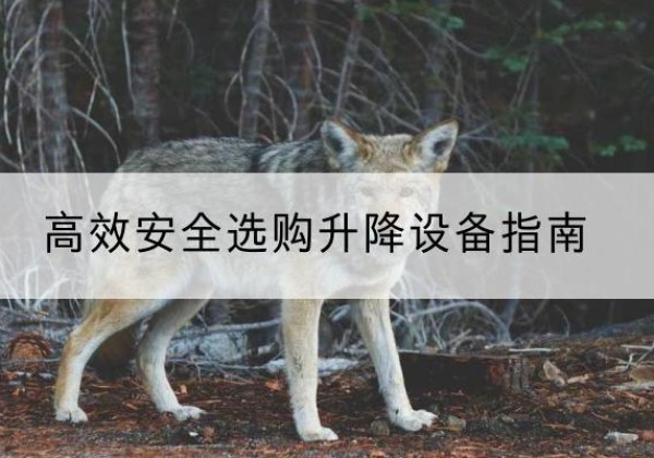 钟山升降货梯厂家推荐-*安全选购升降设备指南