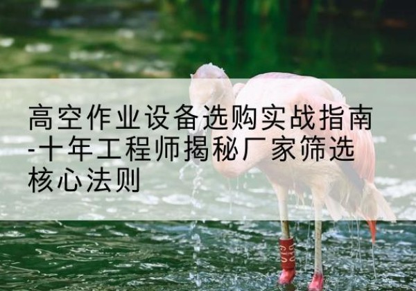 钟山剪叉式升降机厂家-高空作业设备选购实战指南-十年工程师揭秘厂家筛选核心法则